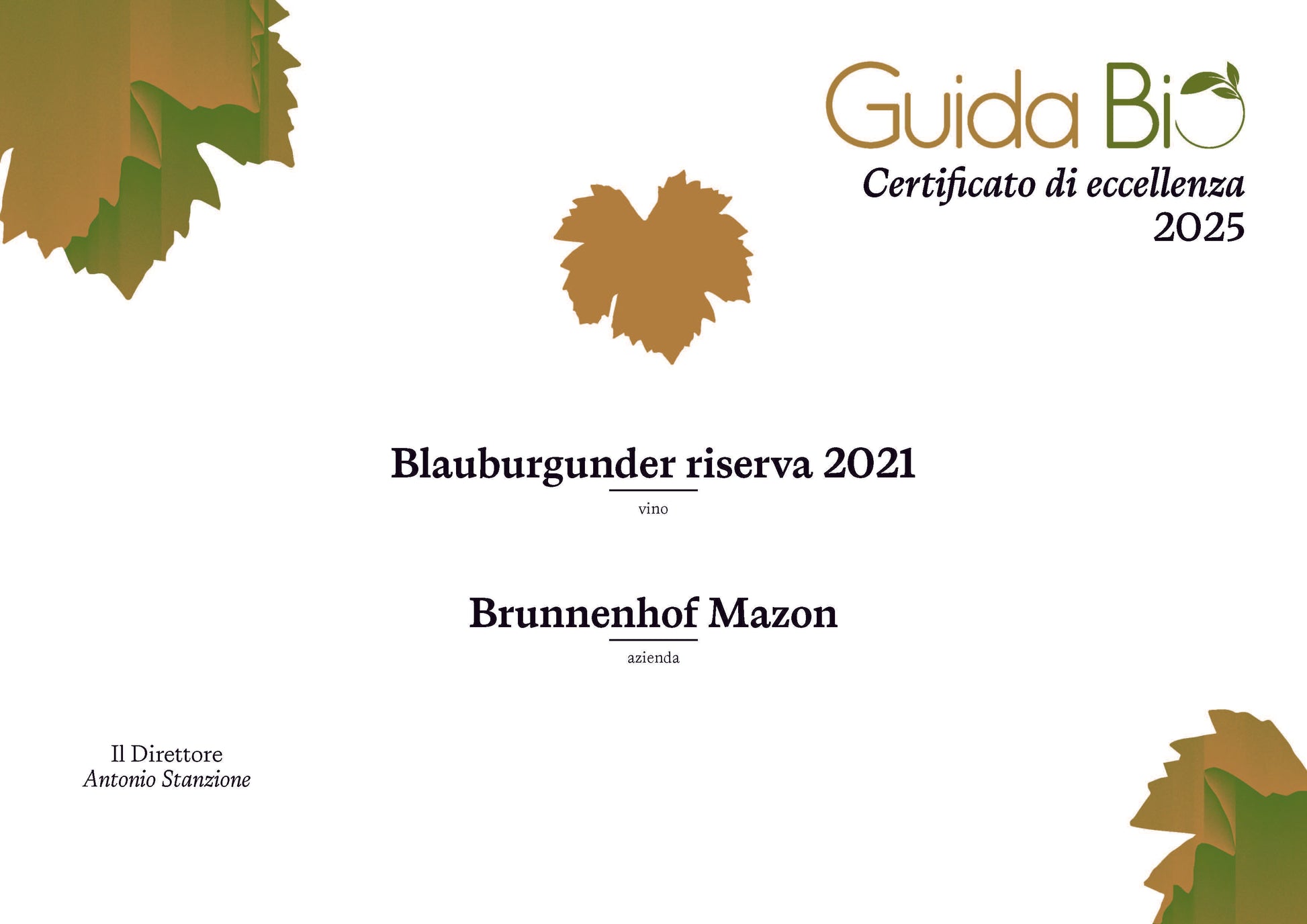 Blauburgunder Riserva Mazzon Bio 2021 2