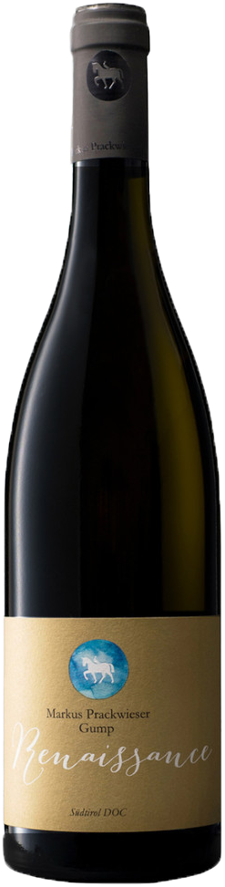 Blauburgunder Riserva "Renaissance" 2020 1