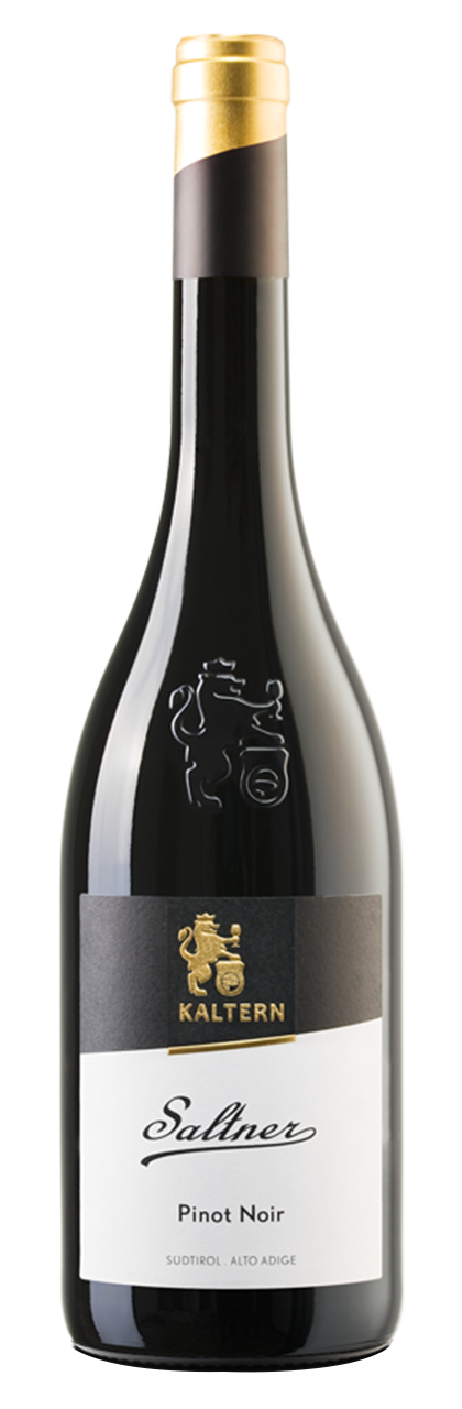 Blauburgunder Riserva "Saltner" 2022 1