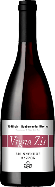 Blauburgunder Riserva "Vigna Zis" Bio 2018 1