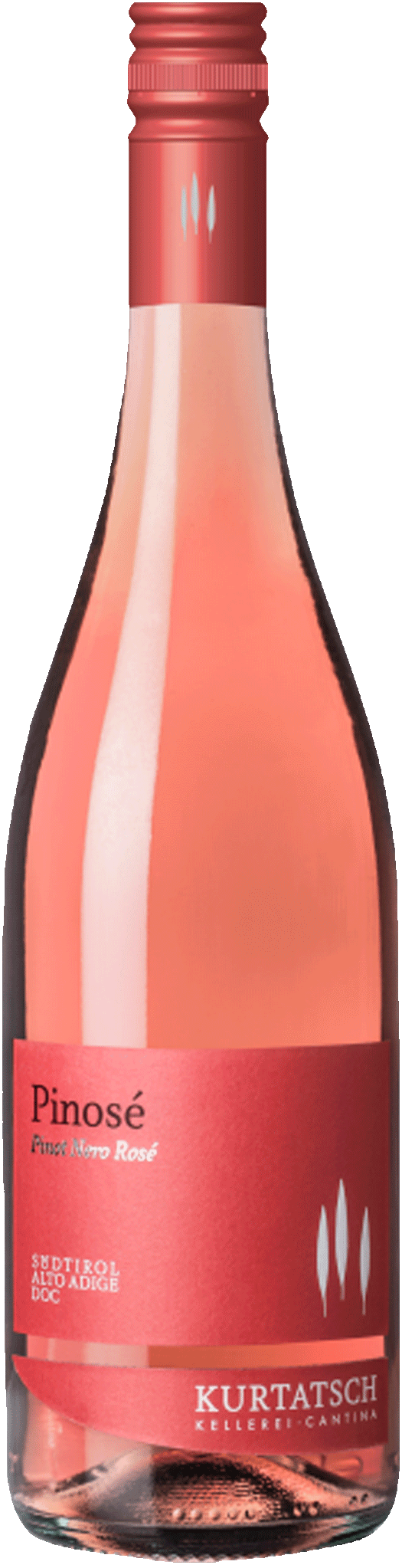 Blauburgunder Rosé "Pinosé" 2025 1