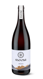 Blauburgunder „Vedla“ Bio 2020 1