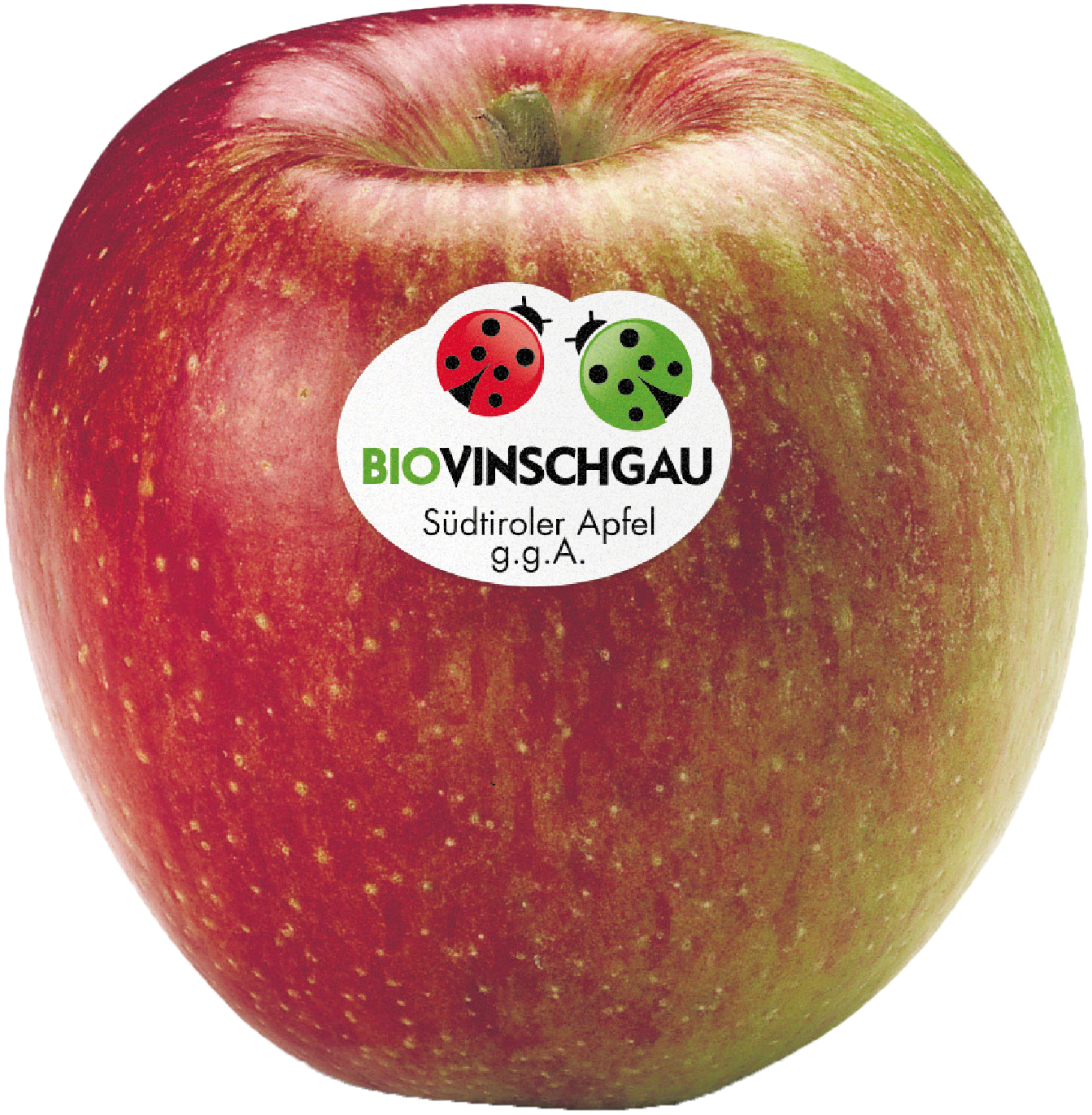 Braeburn Apfelkiste Bio 1