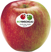 Braeburn Apfelkiste Bio 1