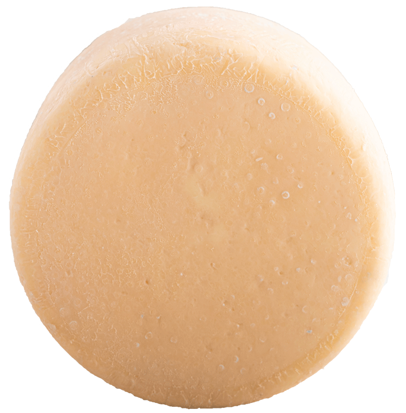 Butterkäse 4