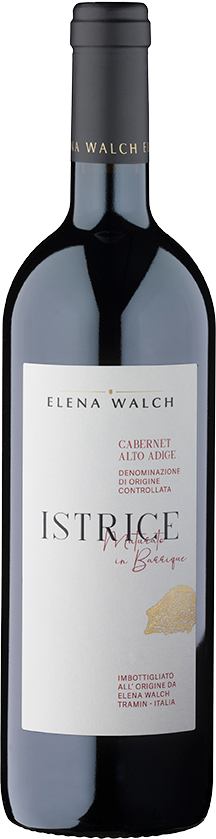 Cabernet "Istrice" 2024 1