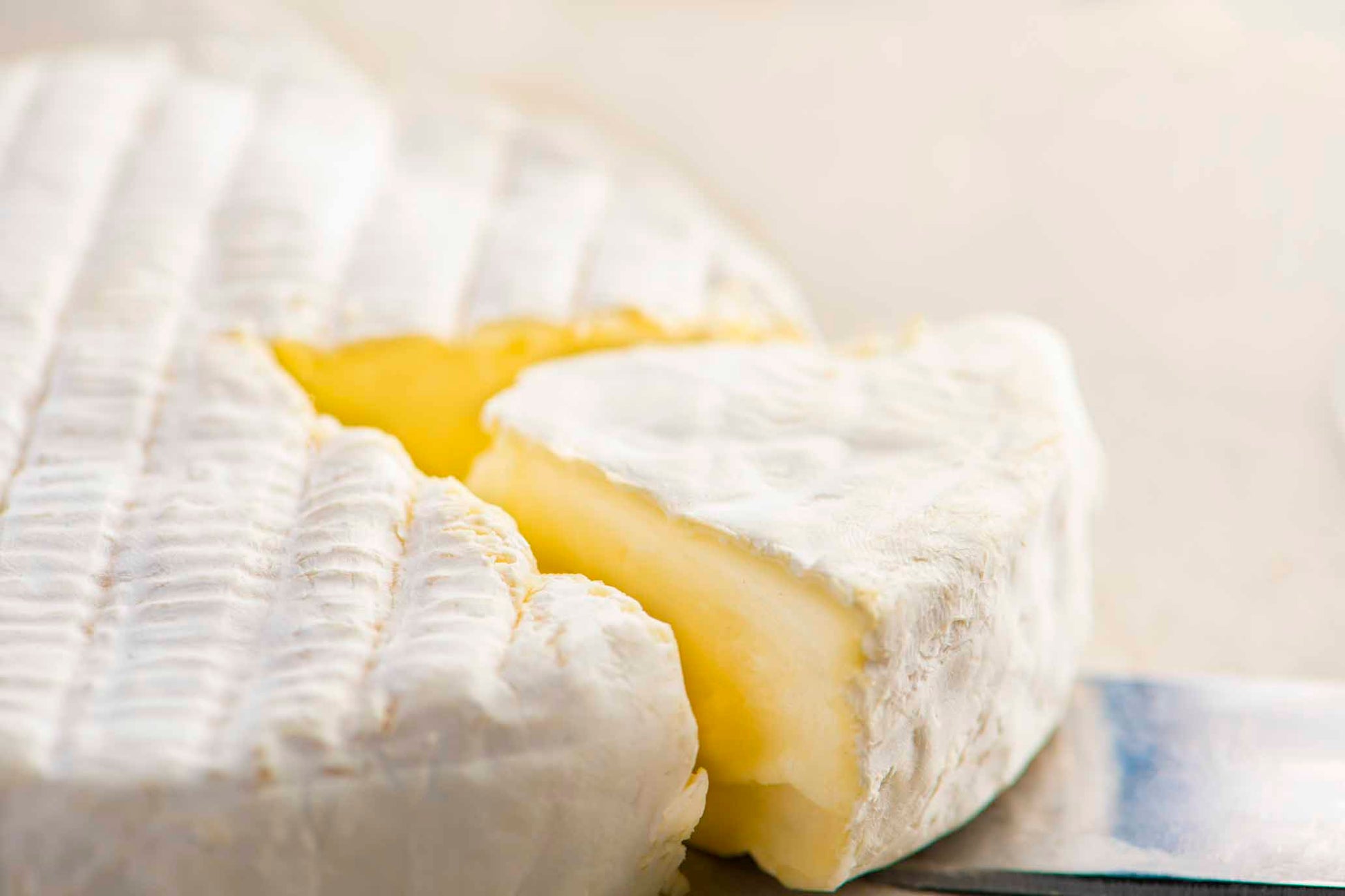 Camembert aus Ziegenmilch 3