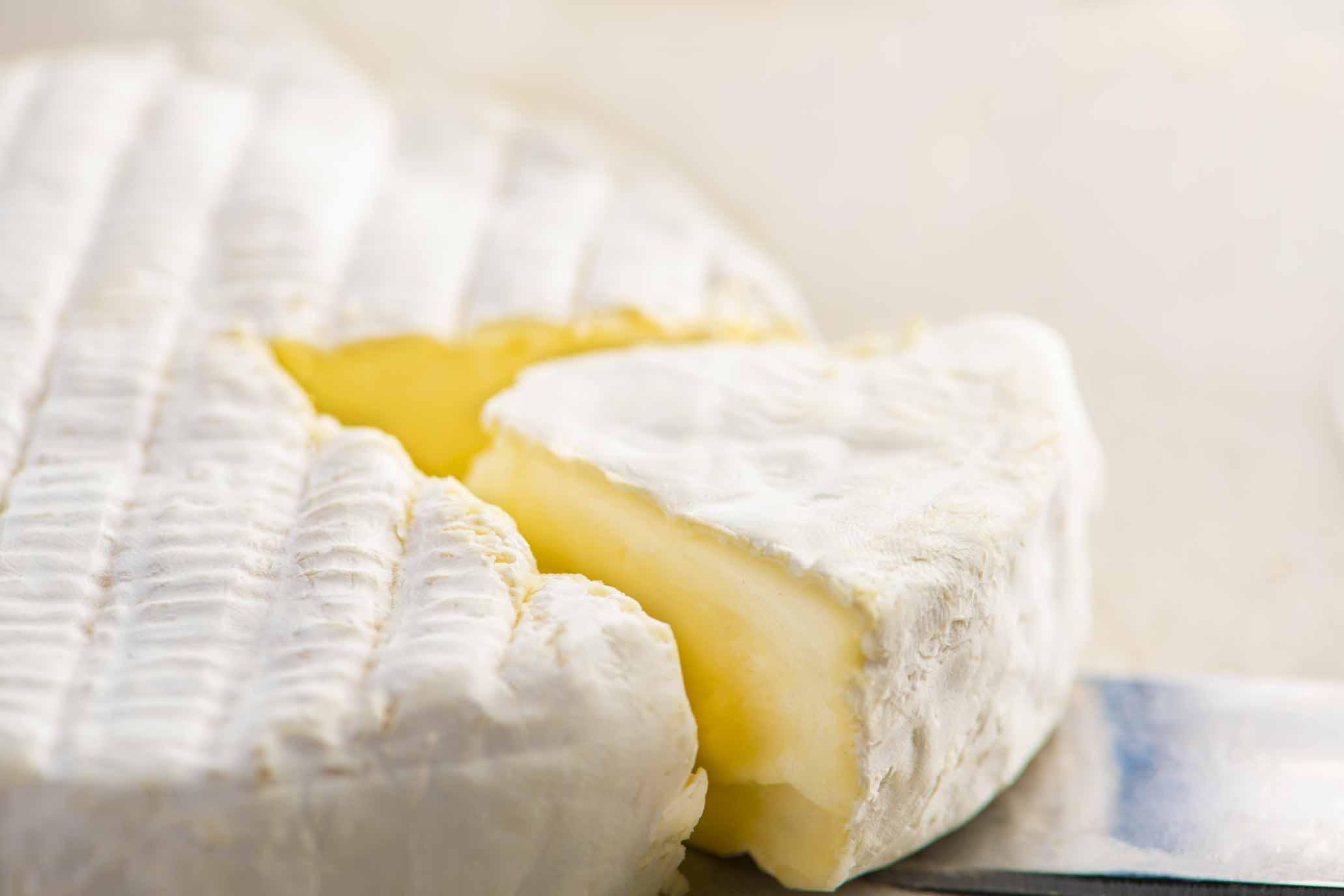 Camembert aus Ziegenmilch 3
