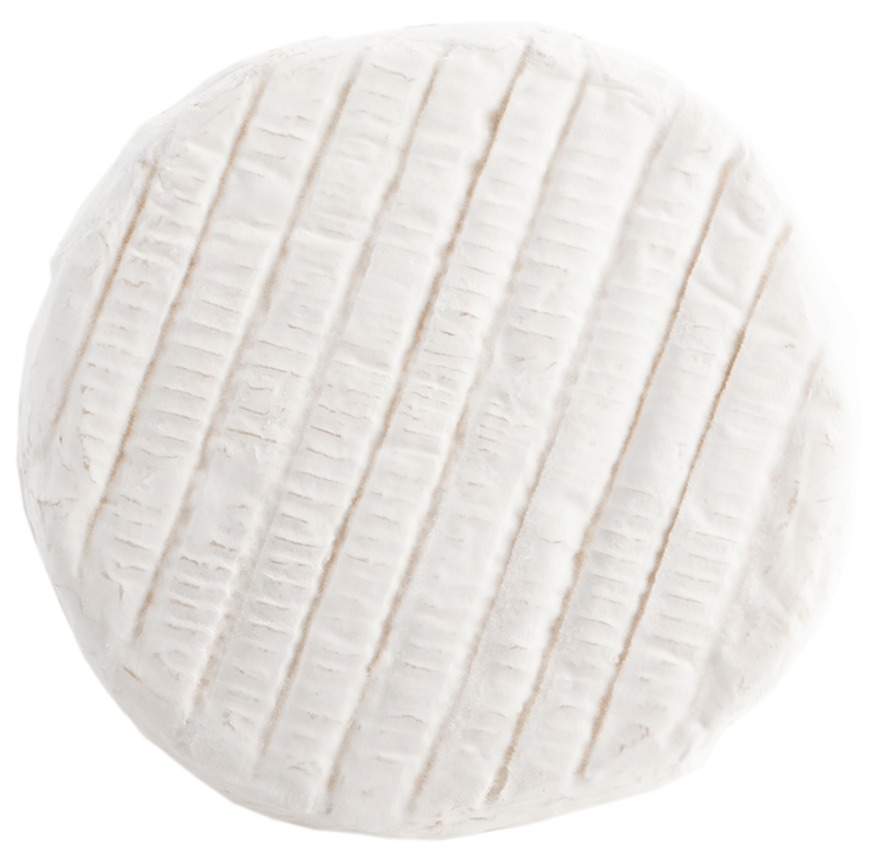 Camembert aus Ziegenmilch 4