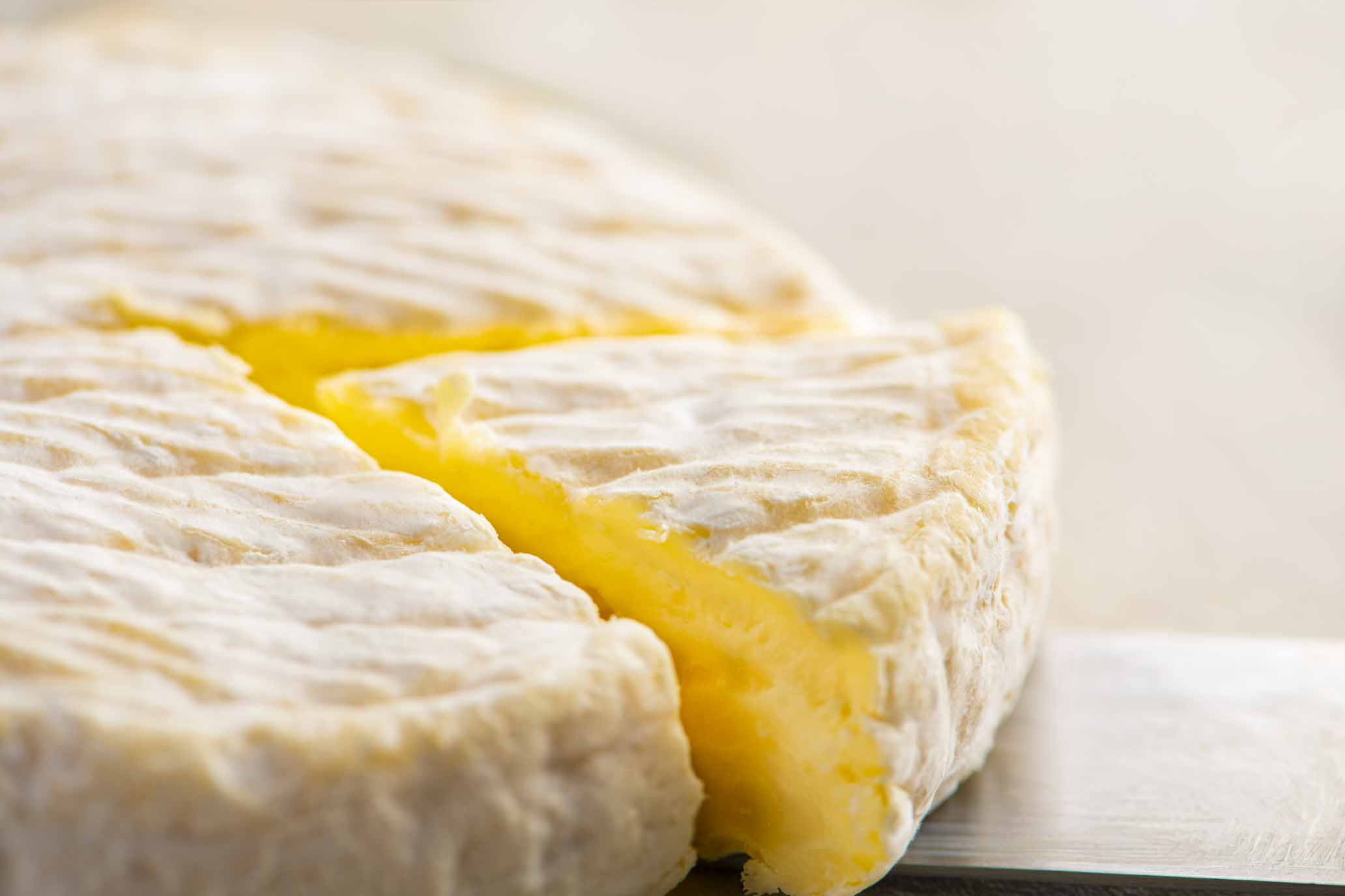 Camembert "Edelweiß" Bio 3