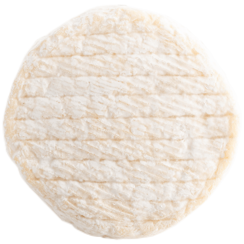Camembert "Edelweiß" Bio 4