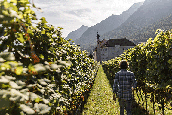 Merlot Riserva  2020 2