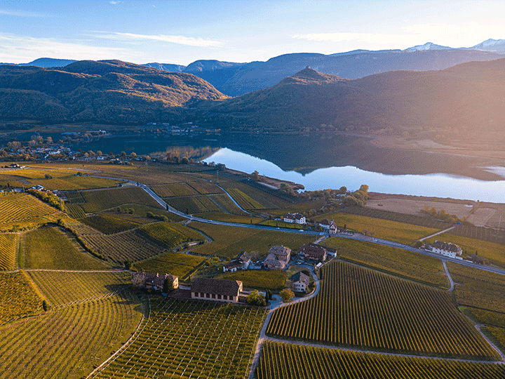 Merlot Riserva  2020 4