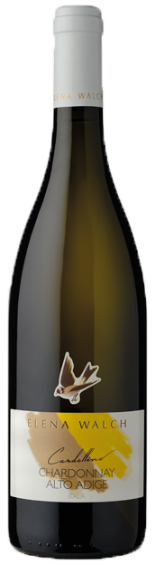Chardonnay "Cardellino" 2025 1