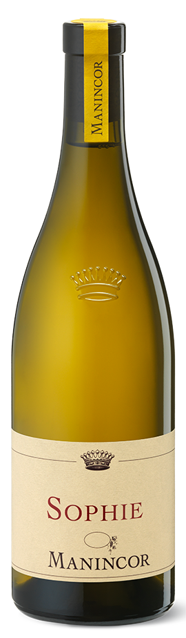 Chardonnay "Sophie" Bio 2024 1