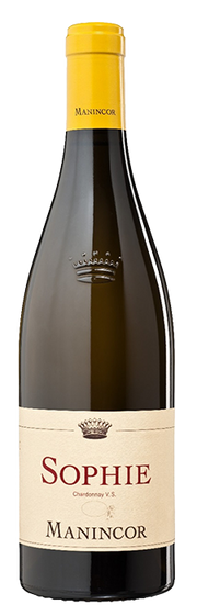 Chardonnay "Sophie" Bio 2025 1