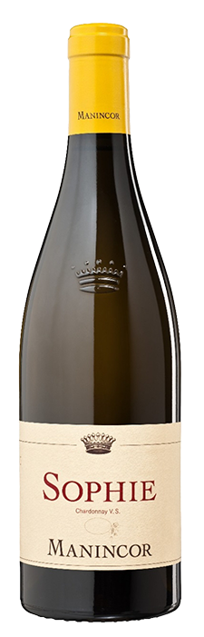 Chardonnay "Sophie" Bio 2025 1