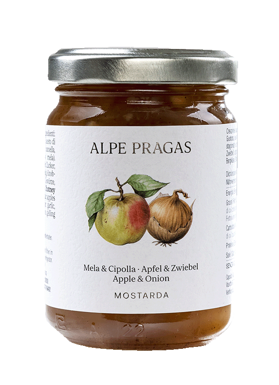 Chutney Apfel Zwiebel 1