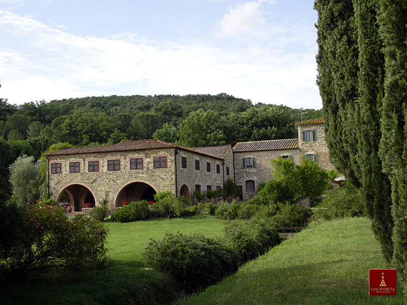 COL D'ORCIA S.P.A 1