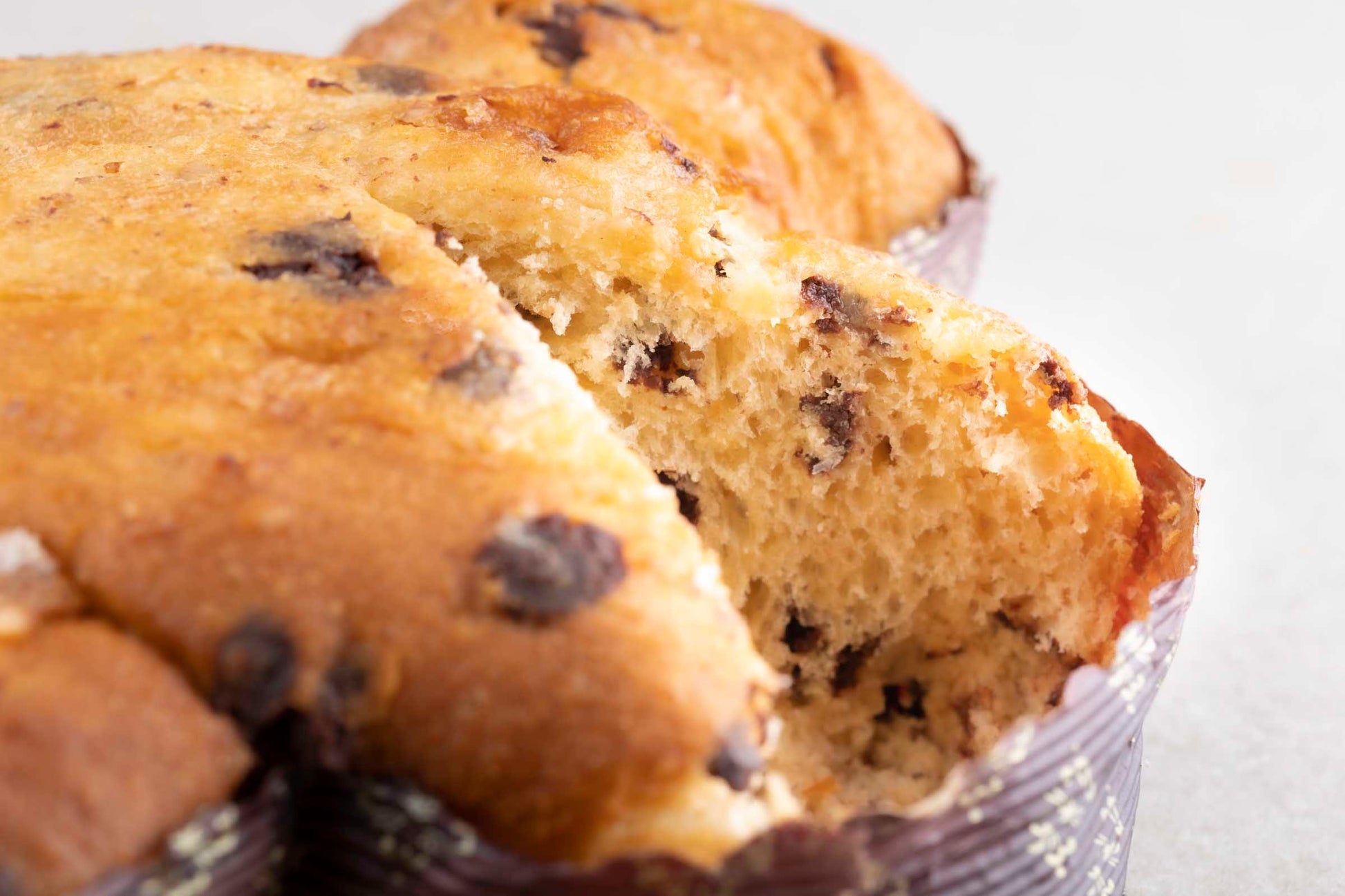 Colomba mit Schokotropfen Bio 2