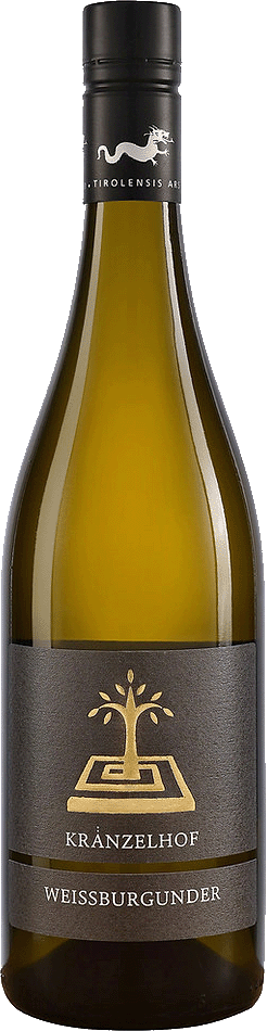 Cuvee "Aurora" 2022 1