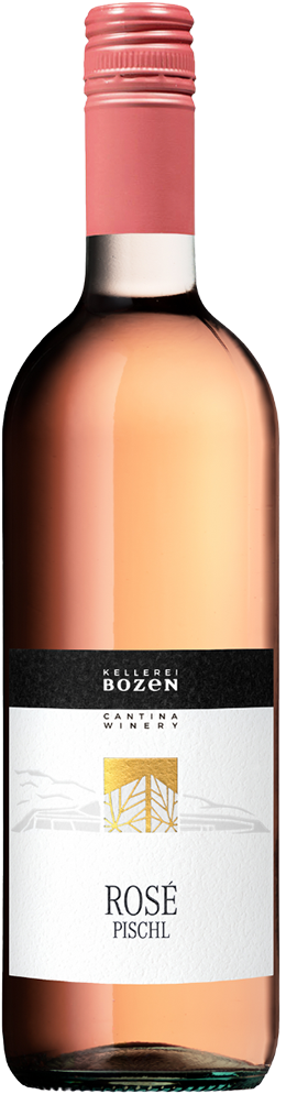 Cuvée Rosé "Pischl"  2025 1