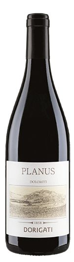 Cuvée rot "Planus"  2019 1