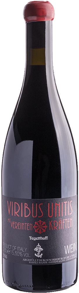 Cuvée Rot „Viribus Unitis“ 2018 1