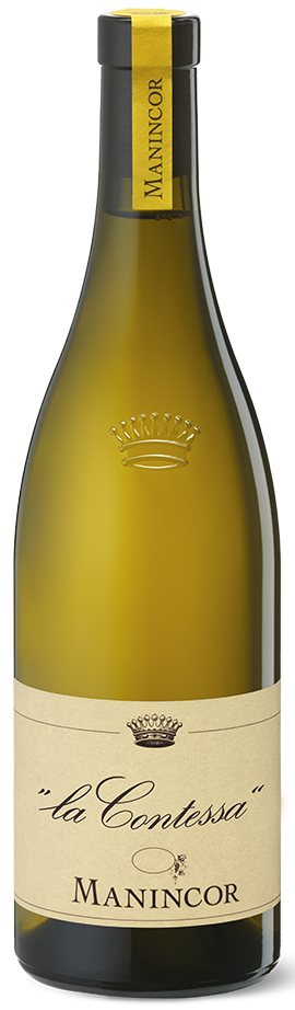 Cuvée Weiß "La Contessa" Bio 2024 1