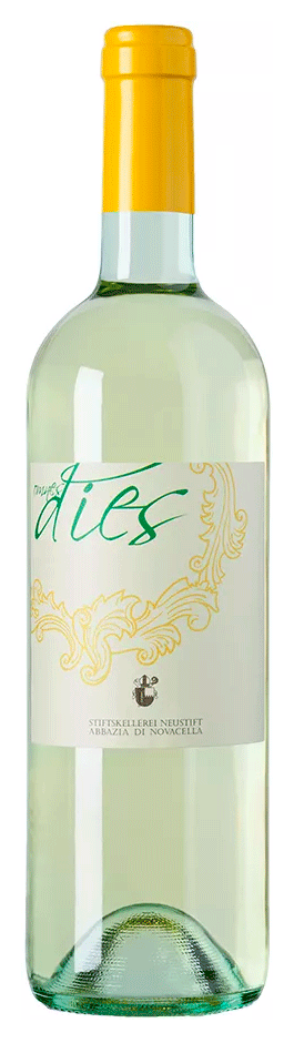 Cuvée Weiß "Omnes Dies" 2025 1