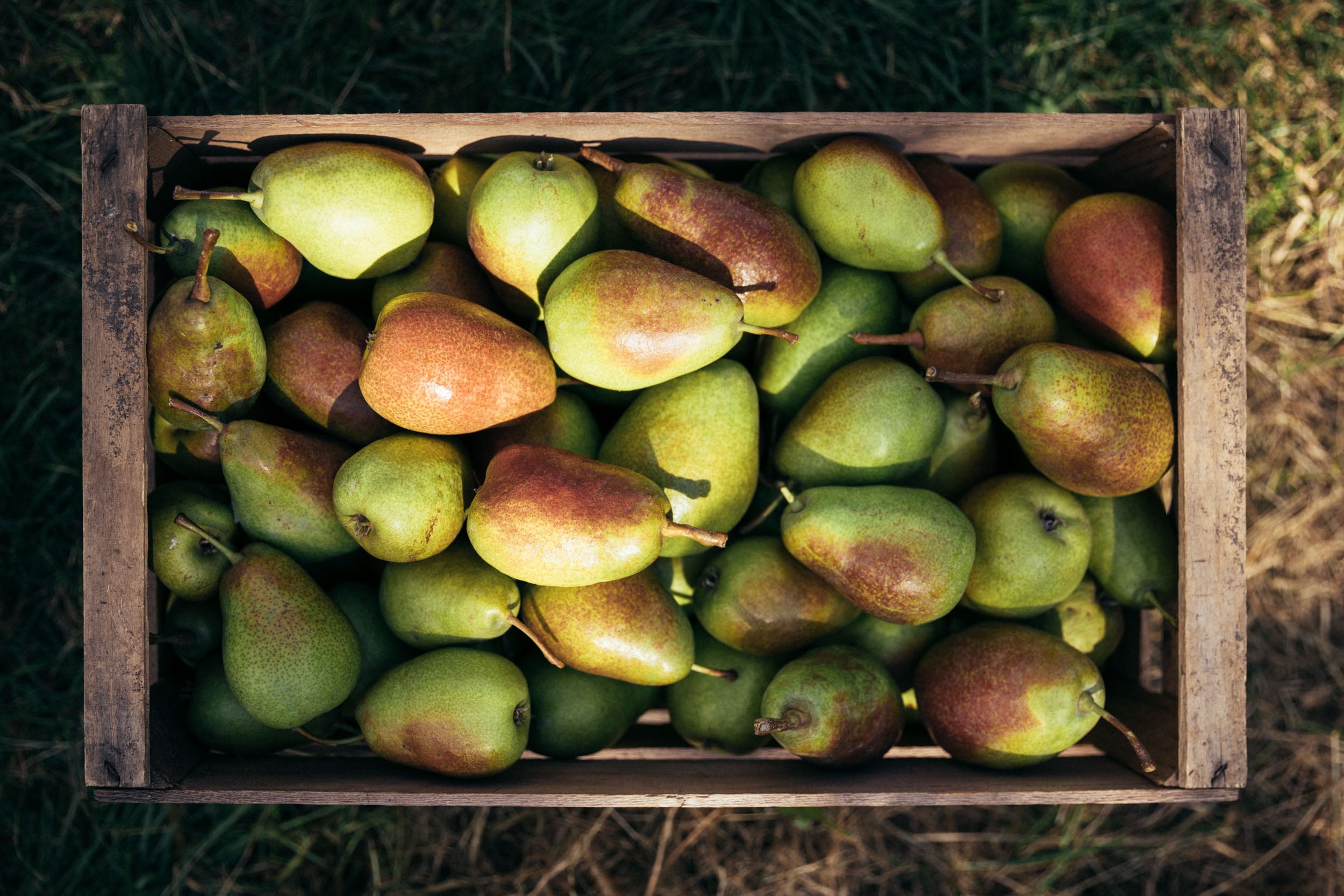 Zirbenlikör "Zirbeler" 6