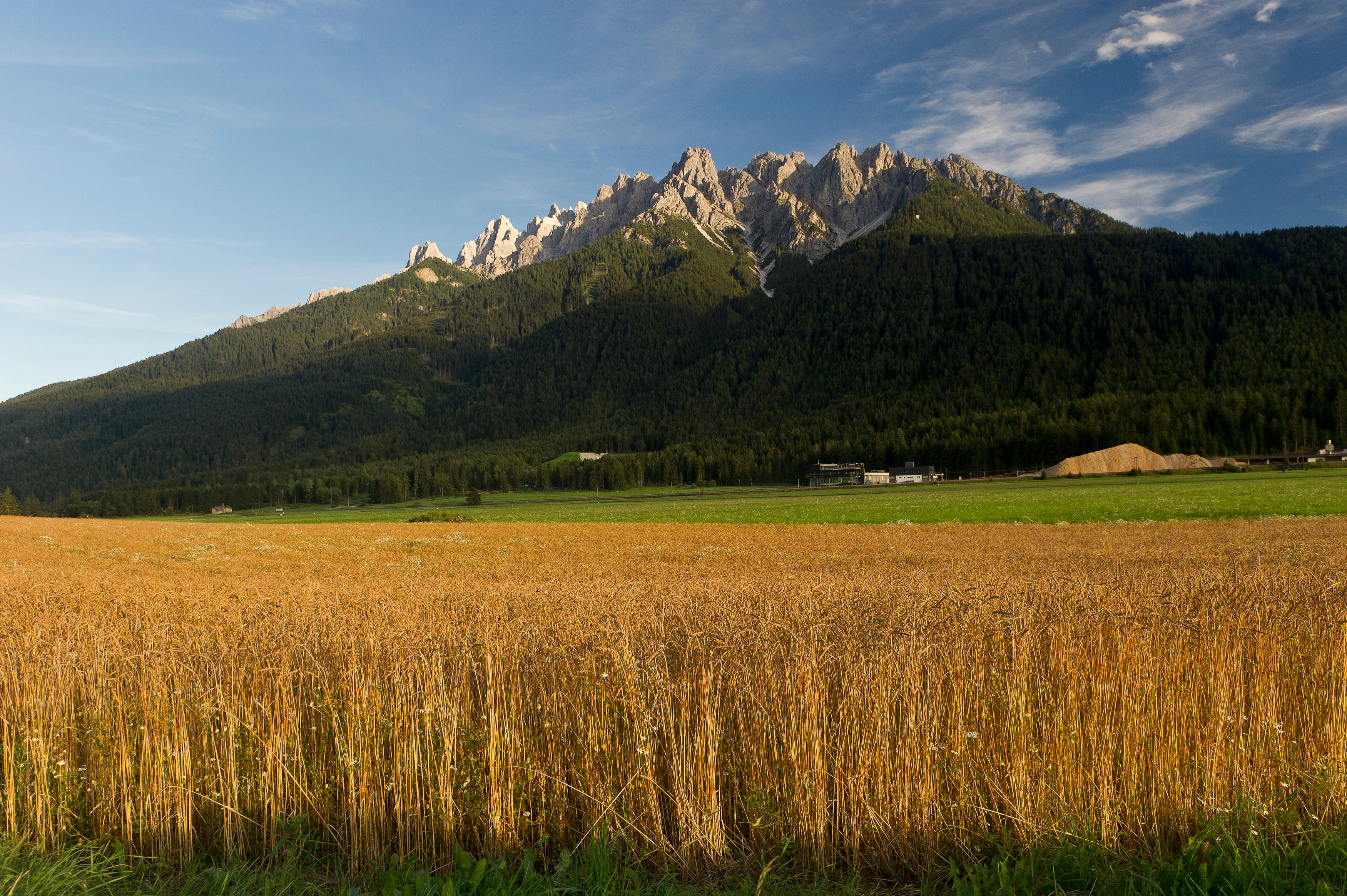 Feichter Bernhard 4