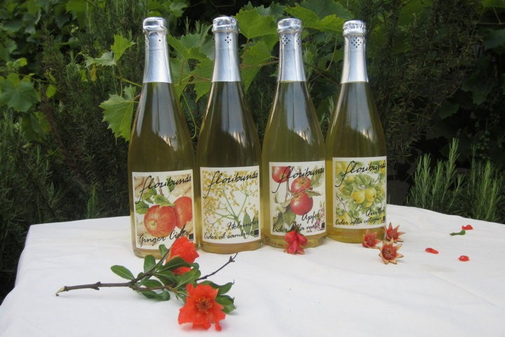 Floribunda  4