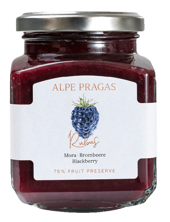 Fruchtaufstrich Brombeere "Rubus"  1