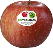 Fuji Apfelkiste Bio 1