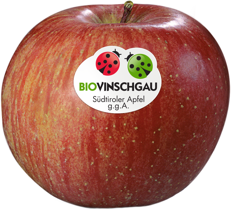 Fuji Apfelkiste Bio 1