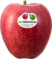 Gala Apfelkiste Bio 1