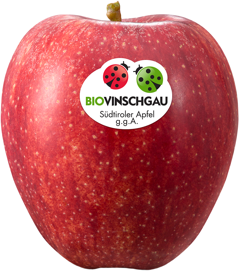 Gala Apfelkiste Bio 1