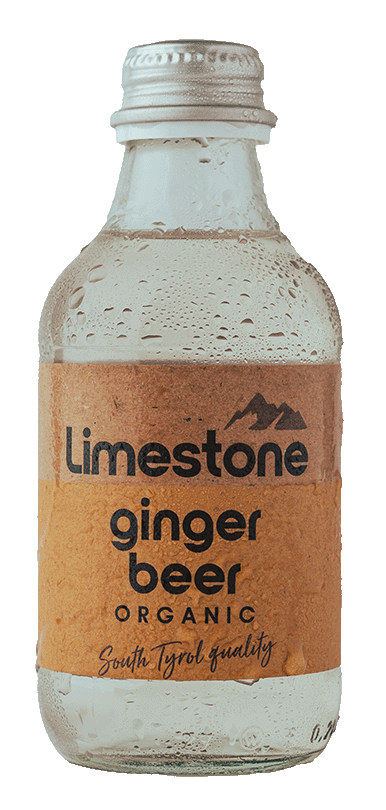 Ginger Beer Bio 1