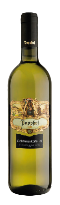 Goldmuskateller 2024 1