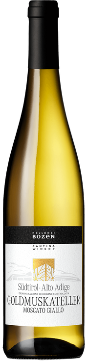 Goldmuskateller 2024 1