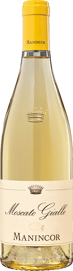 Goldmuskateller Bio 2023 1