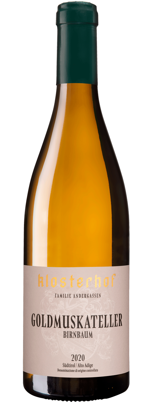 Goldmuskateller "Birnbaum" 2024 1