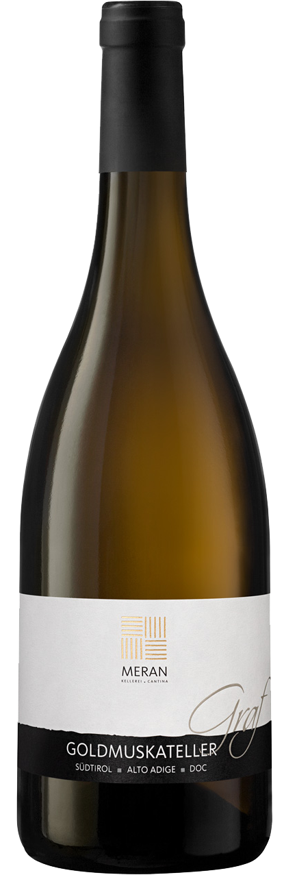Goldmuskateller "Graf" 2025 1
