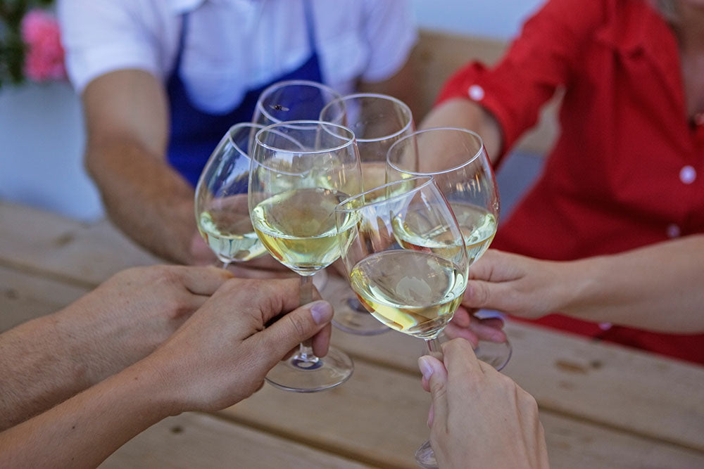 Grüner Veltliner "Rigger"  2023 2