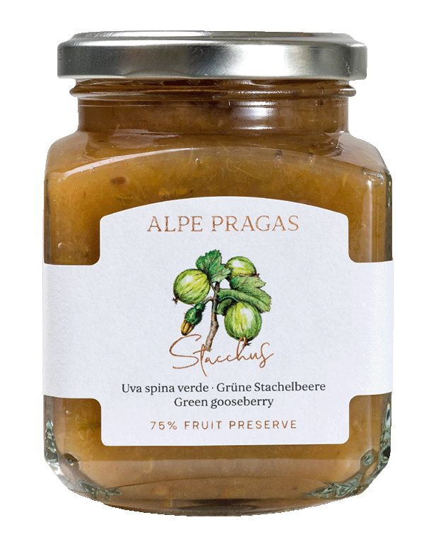 Grüne Stachelbeere Fruchtaufstrich 1