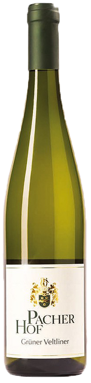 Grüner Veltliner 2025 1