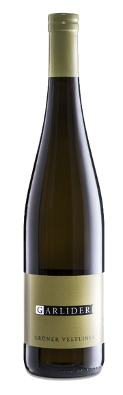 Grüner Veltliner Bio 2022 1