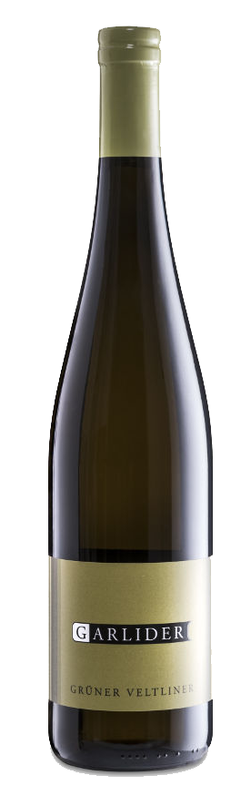 Grüner Veltliner Bio 2022 1