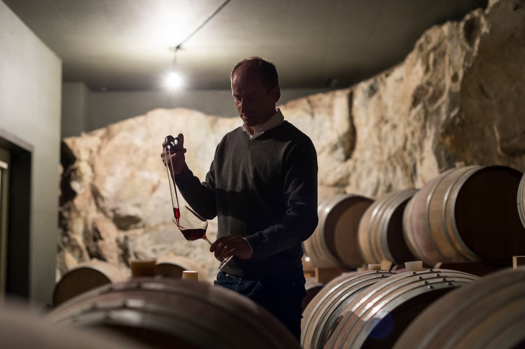 Sauvignon "Praesulis" 2023 4